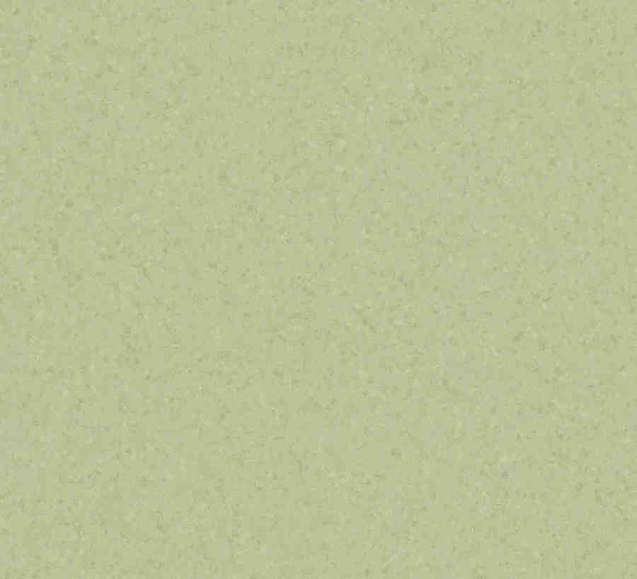 در تابستان چه رنگی بپوشیم : سبز زیتونی