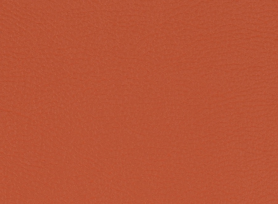 لباس چه رنگی برای پوشیدن در تابستان مناسب است : نارنجی سوخته