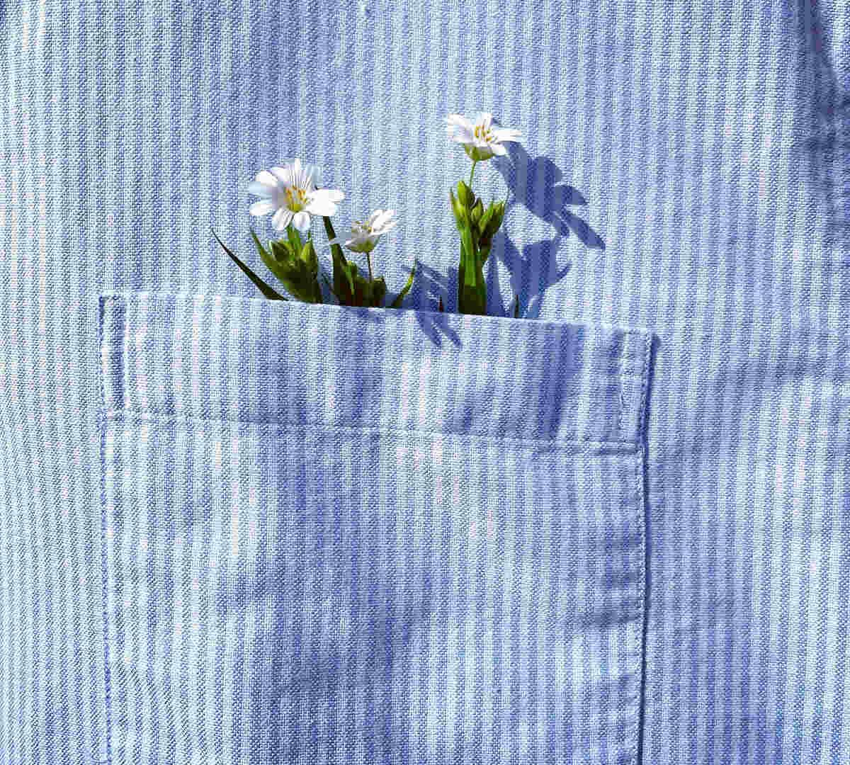 چه شومیزهایی امسال مده