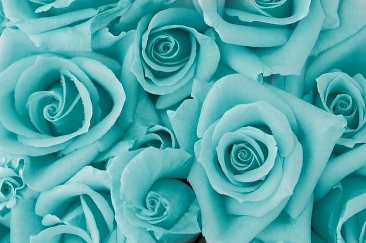 چه رنگ لباسی به پوست سبزه میاد